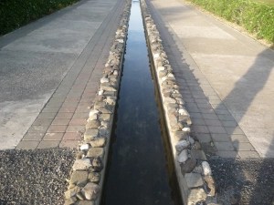 An Infection of Individualism: The Affluenza&nbsp;Affliction